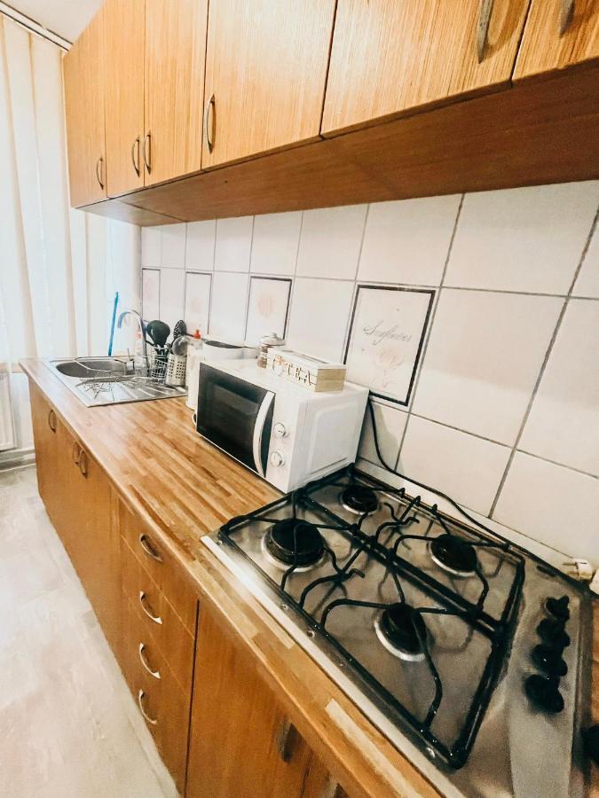 Ultracentral Big Apartment - Near The Opera Square P17 Тимишоара Экстерьер фото