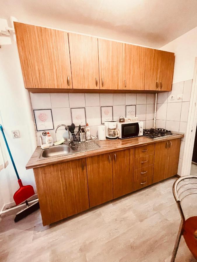 Ultracentral Big Apartment - Near The Opera Square P17 Тимишоара Экстерьер фото