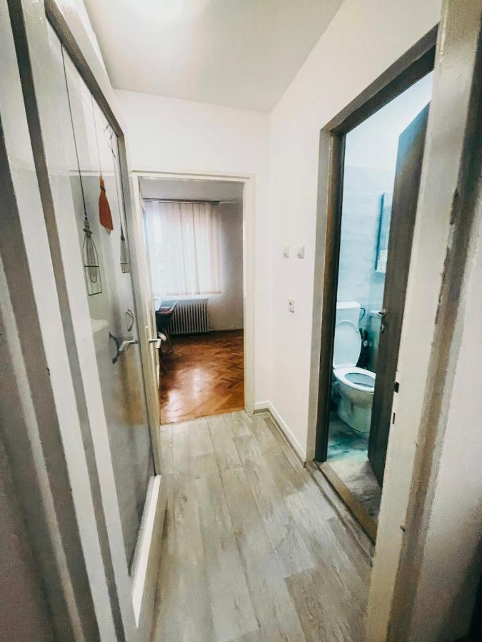 Ultracentral Big Apartment - Near The Opera Square P17 Тимишоара Экстерьер фото